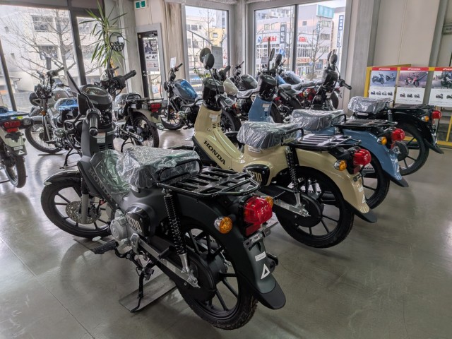 �z���_�����L�[125�i���Q�����R�s�j�摜19