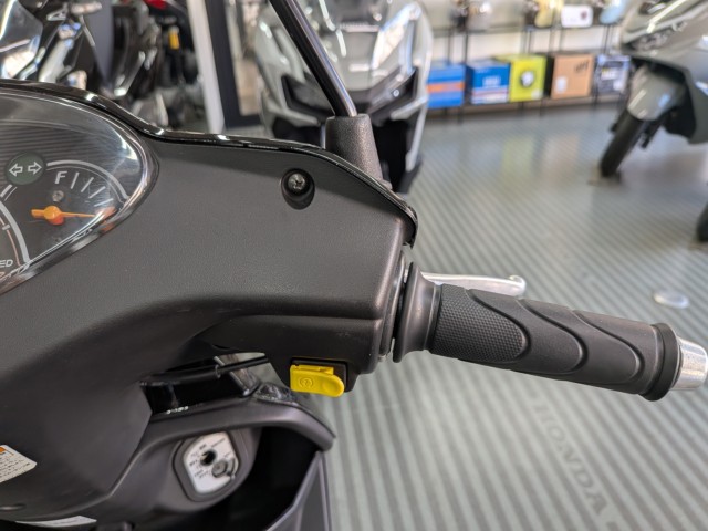 �z���_�f�B�I�i���Q�����R�s�j�摜13