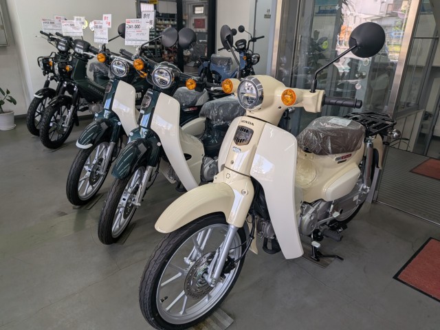�z���_�W�����m�i���Q�����R�s�j�摜13