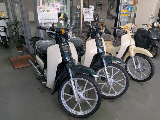 �z���_�W�����m�i���Q�����R�s�j�摜14