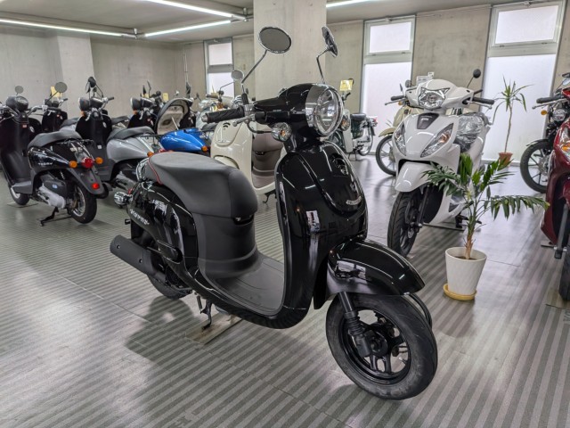 �z���_�W�����m�i���Q�����R�s�j�摜2