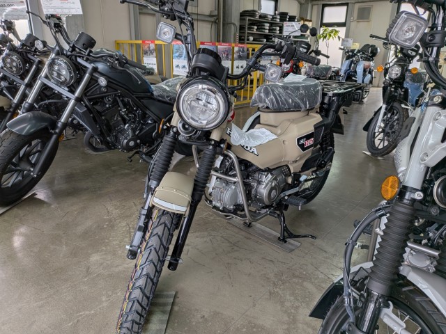 �z���_CT125�i���Q�����R�s�j�摜3