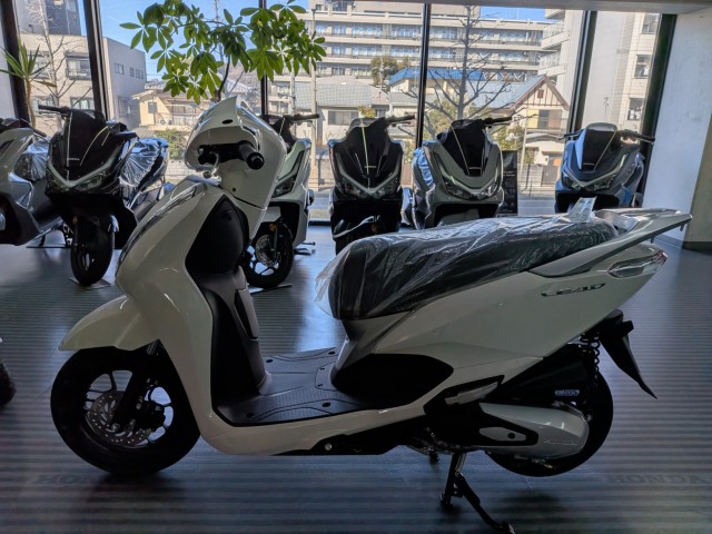 �z���_���[�h125�i���Q�����R�s�j�摜5