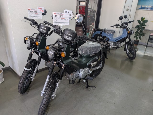 �z���_�W�����m�i���Q�����R�s�j�摜18