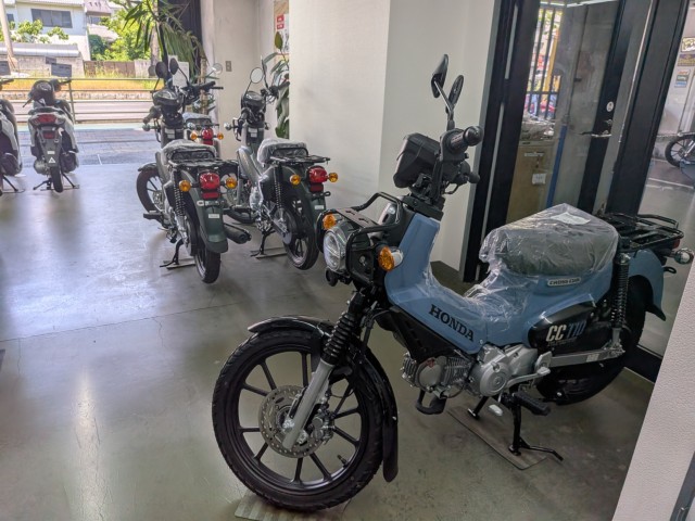 �z���_�W�����m�i���Q�����R�s�j�摜19