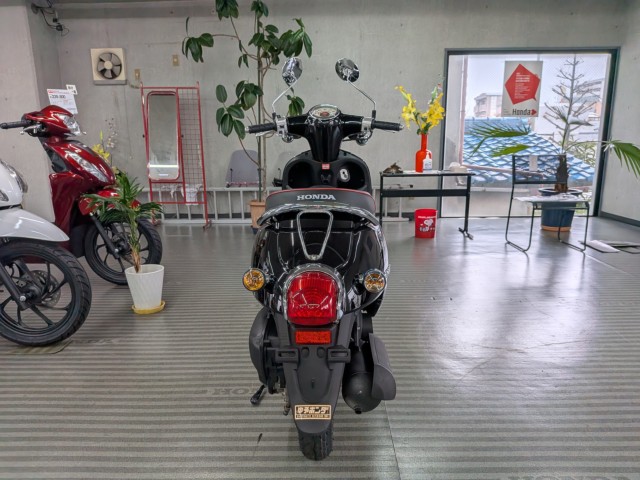 �z���_�W�����m�i���Q�����R�s�j�摜7