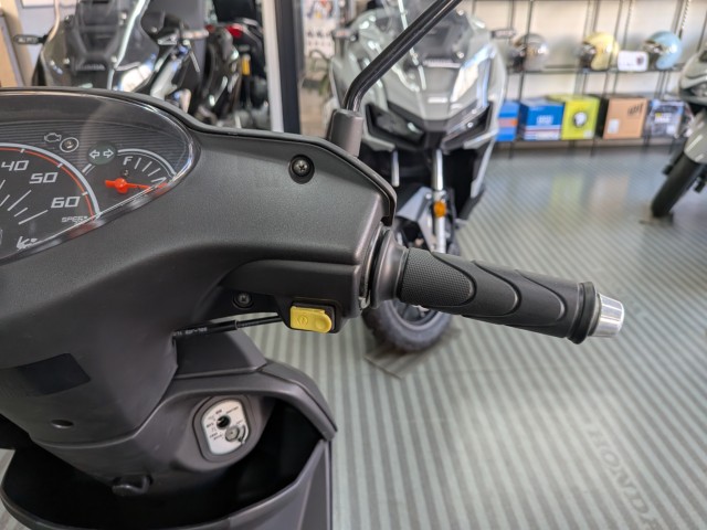 �z���_�f�B�I�i���Q�����R�s�j�摜13