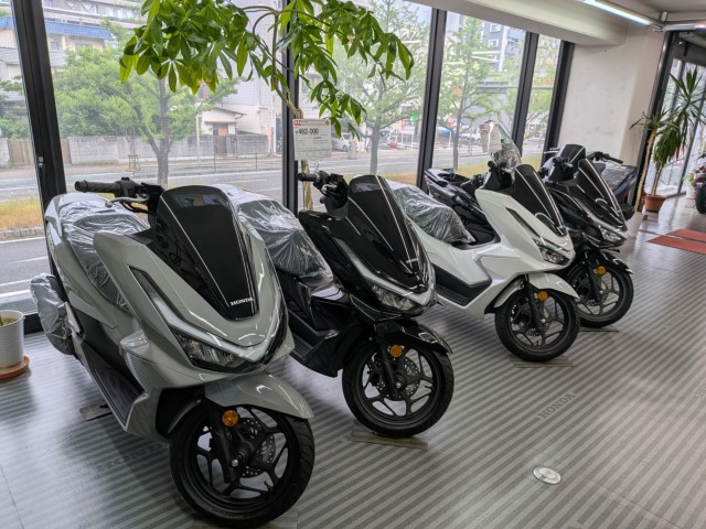 �z���_�f�B�I110�i���Q�����R�s�j�摜17