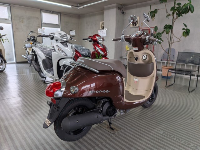 �z���_�W�����m�i���Q�����R�s�j�摜8