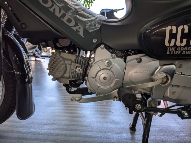 �z���_�N���X�J�u50�i���Q�����R�s�j�摜20