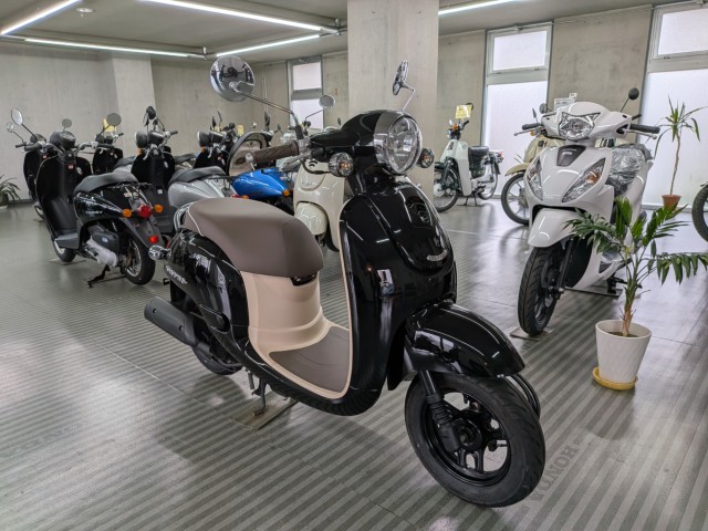 �z���_�W�����m�i���Q�����R�s�j�摜2