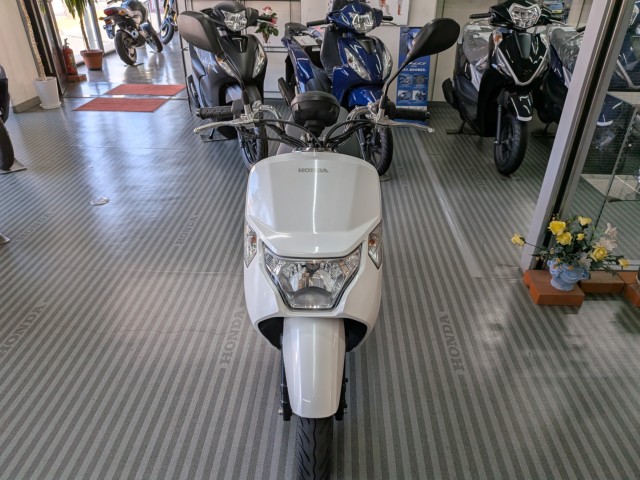 �z���_Dunk�i���Q�����R�s�j�摜3