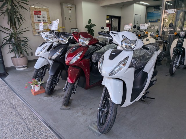 �z���_�x�����C50�i���Q�����R�s�j�摜15