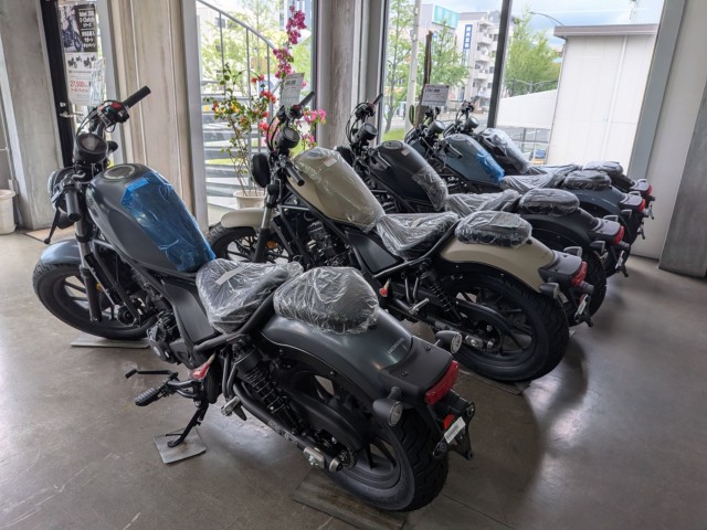 �z���_���u��250�i���Q�����R�s�j�摜11