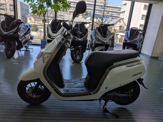 �z���_Dunk�i���Q�����R�s�j�摜5