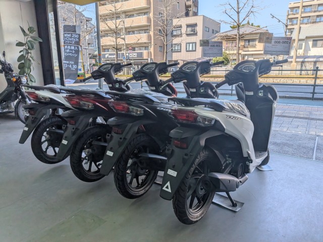 �z���_�x�����C50�i���Q�����R�s�j�摜17