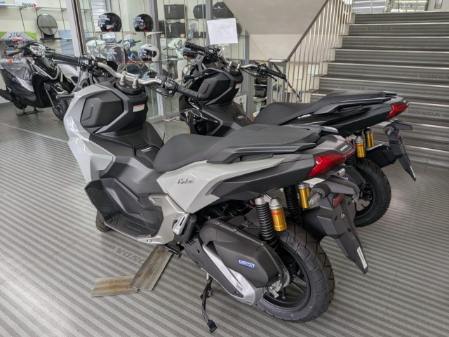 �z���_���u��250�i���Q�����R�s�j�摜14