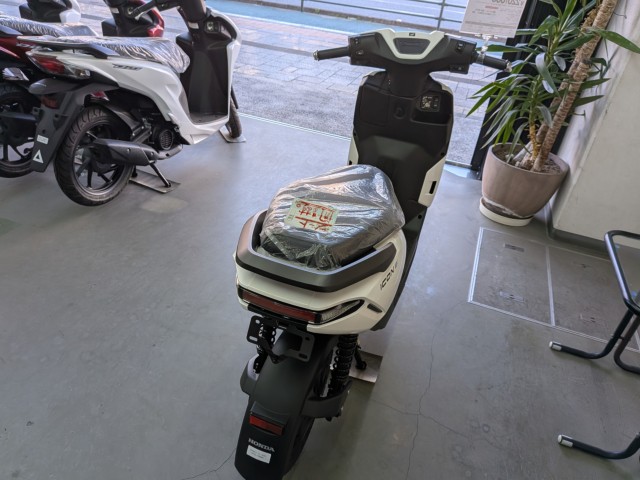 �z���_�x�����C50�i���Q�����R�s�j�摜19