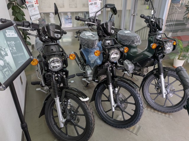 �z���_�x�����C50�i���Q�����R�s�j�摜10