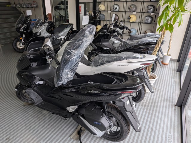 �z���_���u��250�i���Q�����R�s�j�摜20