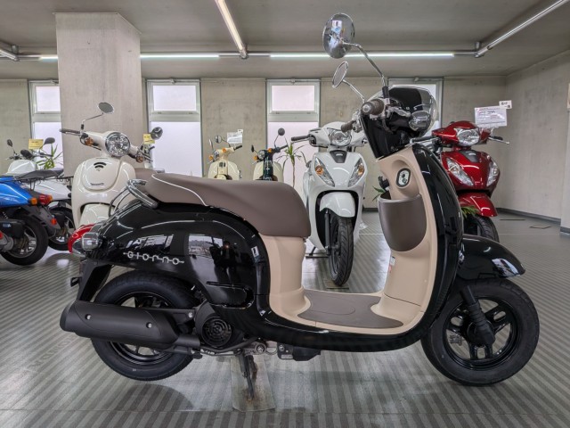 �z���_�W�����m�i���Q�����R�s�j�摜1