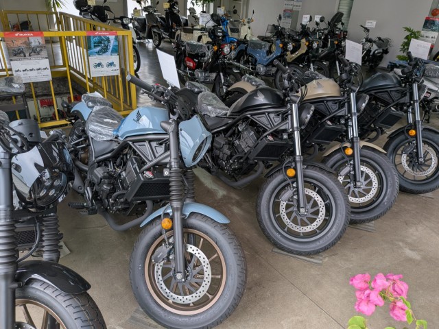 �z���_���u��250�i���Q�����R�s�j�摜10