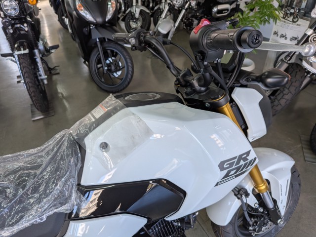 �z���_�O�����i���Q�����R�s�j�摜14