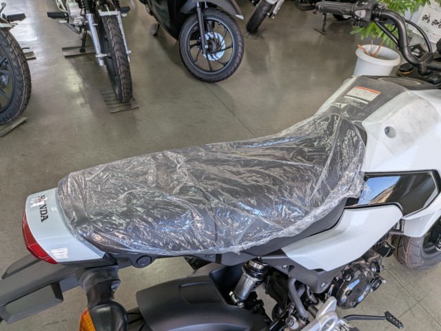 �z���_�O�����i���Q�����R�s�j�摜15