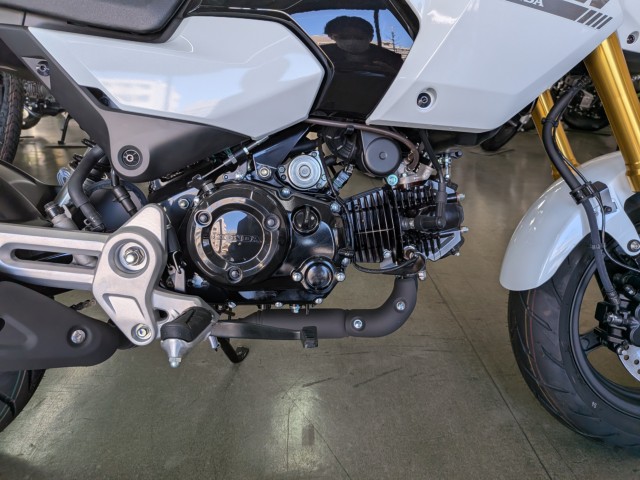 �z���_�O�����i���Q�����R�s�j�摜16