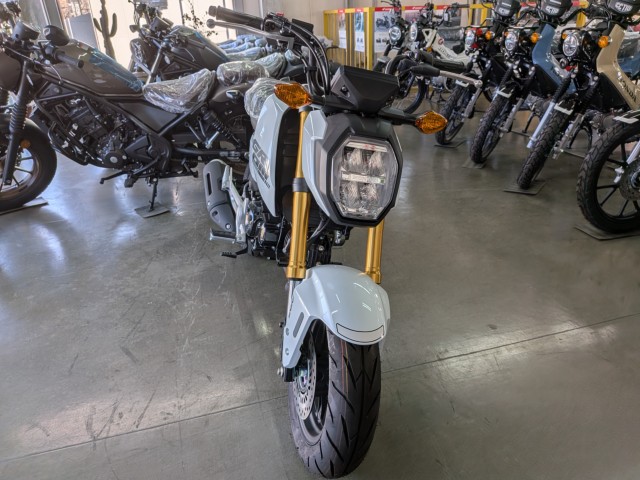 �z���_�O�����i���Q�����R�s�j�摜3