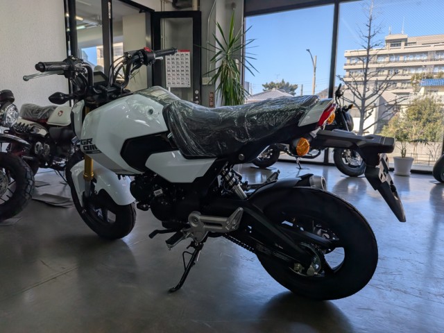 �z���_�O�����i���Q�����R�s�j�摜6