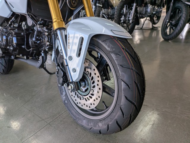 �z���_�O�����i���Q�����R�s�j�摜10