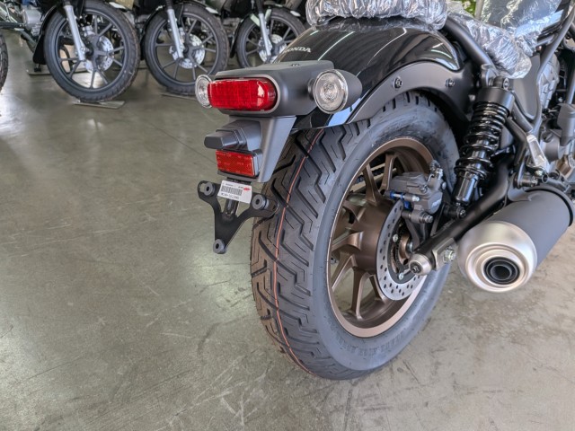 �z���_���u��250�i���Q�����R�s�j�摜18