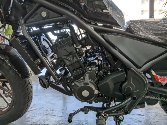 �z���_���u��250�i���Q�����R�s�j�摜19