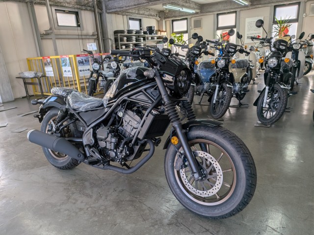 �z���_���u��250�i���Q�����R�s�j�摜2