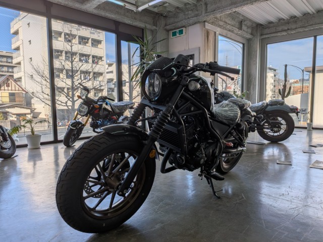 �z���_���u��250�i���Q�����R�s�j�摜4