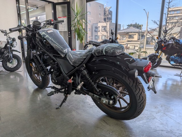 �z���_���u��250�i���Q�����R�s�j�摜6