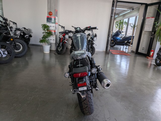 �z���_���u��250�i���Q�����R�s�j�摜7