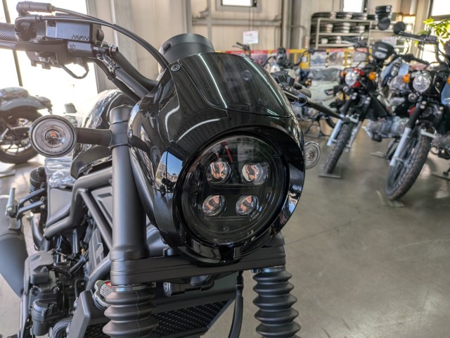 �z���_���u��250�i���Q�����R�s�j�摜9