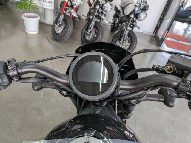 �z���_���u��250�i���Q�����R�s�j�摜11