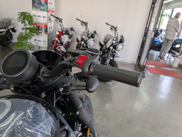 �z���_���u��250�i���Q�����R�s�j�摜13