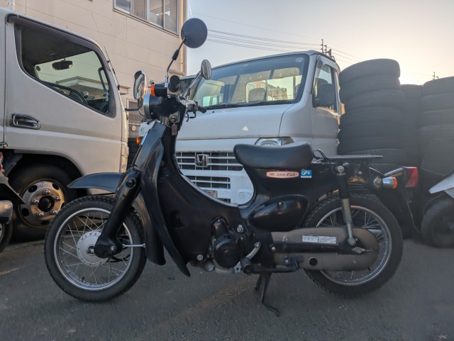 �z���_���g���J�u�i���Q�������s�j�摜1