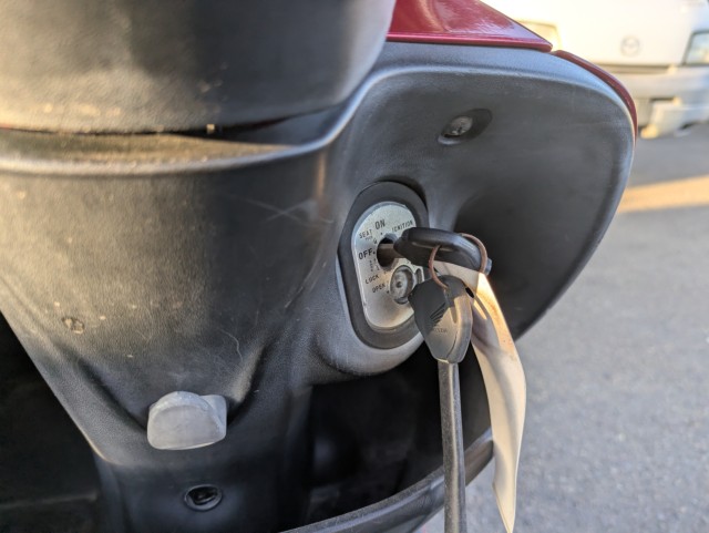 �z���_�f�B�I�i���Q�������s�j�摜14