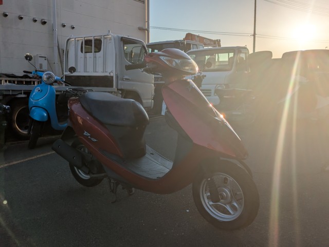 �z���_�f�B�I�i���Q�������s�j�摜4