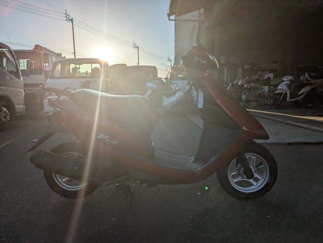 �z���_�f�B�I�i���Q�������s�j�摜5