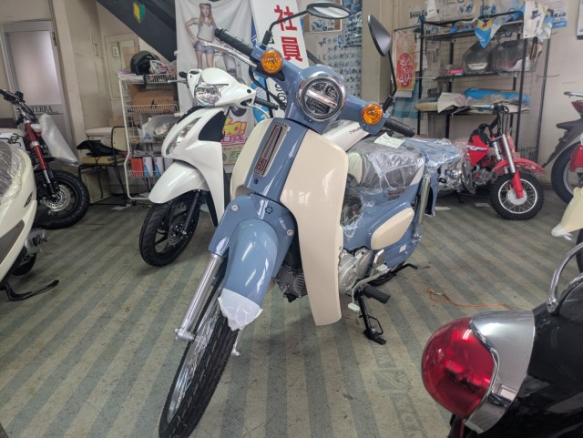 �z���_�X�[�p�[�J�u50�iAA09�j�i���Q�������s�j�摜2