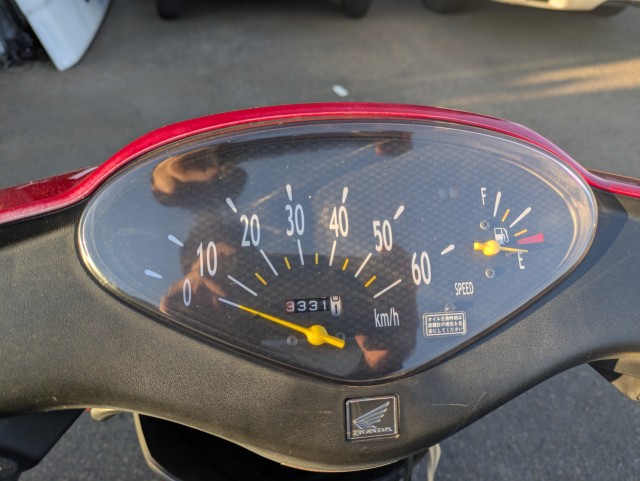 �z���_�f�B�I�i���Q�������s�j�摜11