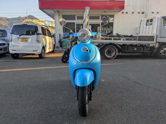 �z���_�W�����m�i���Q�������s�j�摜11