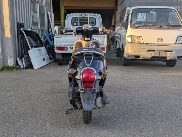 �z���_�W�����m�i���Q�������s�j�摜7