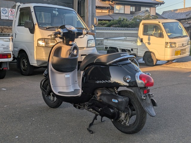 �z���_�W�����m�i���Q�������s�j�摜8